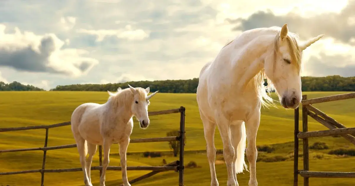 Two Beautifull white horses standing a natural view