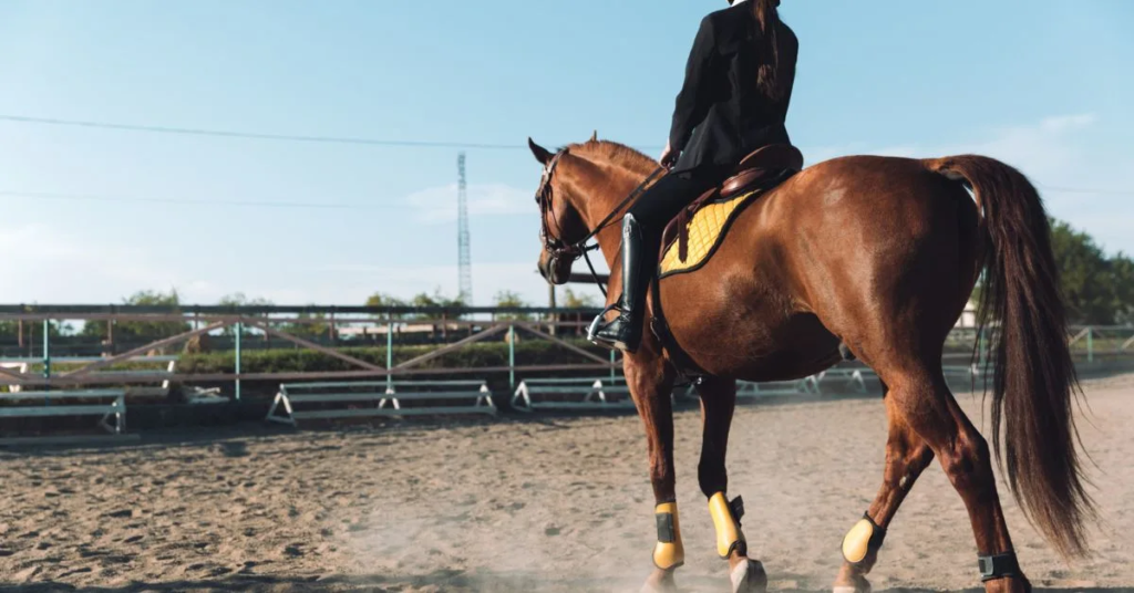 a gorgeous lady is riding a Racehorse Names 