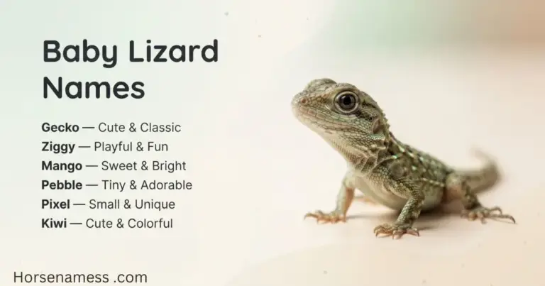 Lizard Names featured image