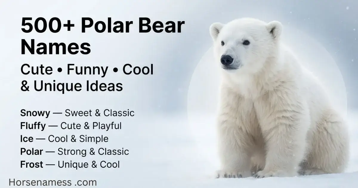 Polar Bear Names featured image