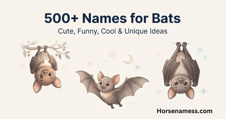 Names for Bats